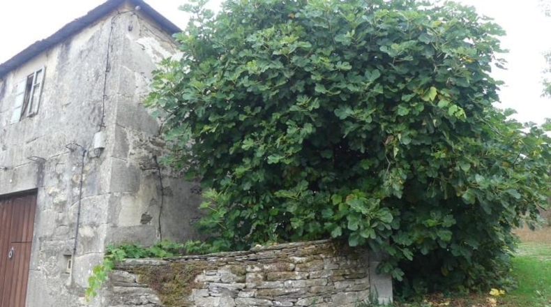 Pontevedra - Gondomar - 282m2