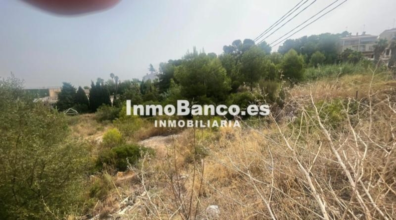Valencia - Chiva - 976m2