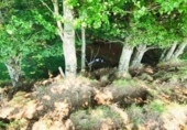 Rural estate for sale on España, Miera, ref: TR329876 photo
