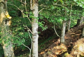 Foto 13