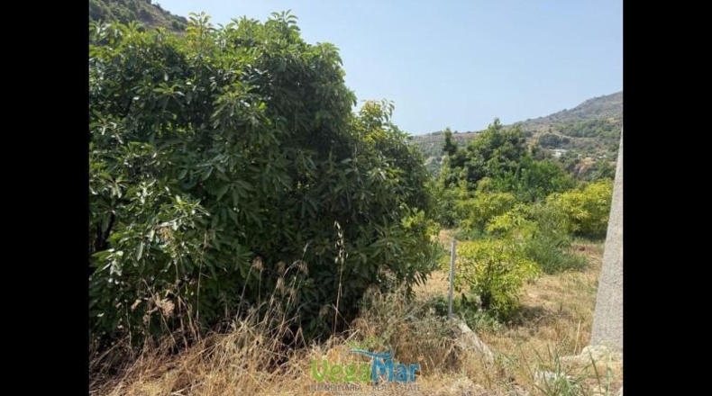 Granada - Almuñécar - 3100m2