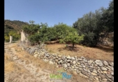 Terreno no urbanizable en venta en la España, Almuñécar, ref: TR321657 foto