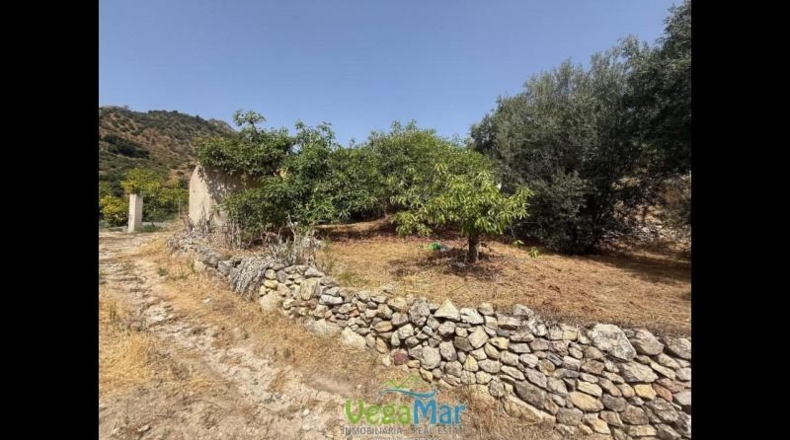 Granada - Almuñécar - 3100m2