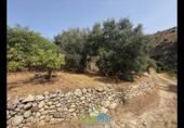 Terreno no urbanizable en venta en la España, Almuñécar, ref: TR321657 foto