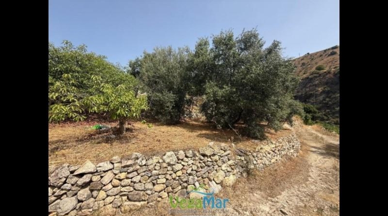 Granada - Almuñécar - 3100m2
