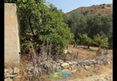 Terreno no urbanizable en venta en la España, Almuñécar, ref: TR321657 foto