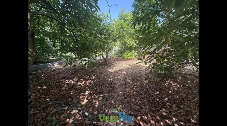 Granada - Almuñécar - 3100m2