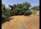 Terreno no urbanizable en venta en la España, Almuñécar, ref: TR321657 foto