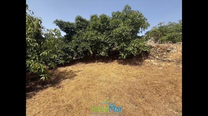 Granada - Almuñécar - 3100m2