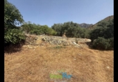 Terreno no urbanizable en venta en la España, Almuñécar, ref: TR321657 foto