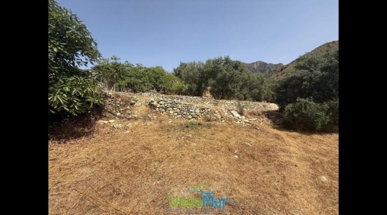 Granada - Almuñécar - 3100m2