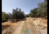 Terreno no urbanizable en venta en la España, Almuñécar, ref: TR321657 foto