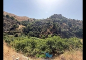 Terreno no urbanizable en venta en la España, Almuñécar, ref: TR321657 foto
