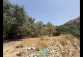 Terreno no urbanizable en venta en la España, Almuñécar, ref: TR321657 foto