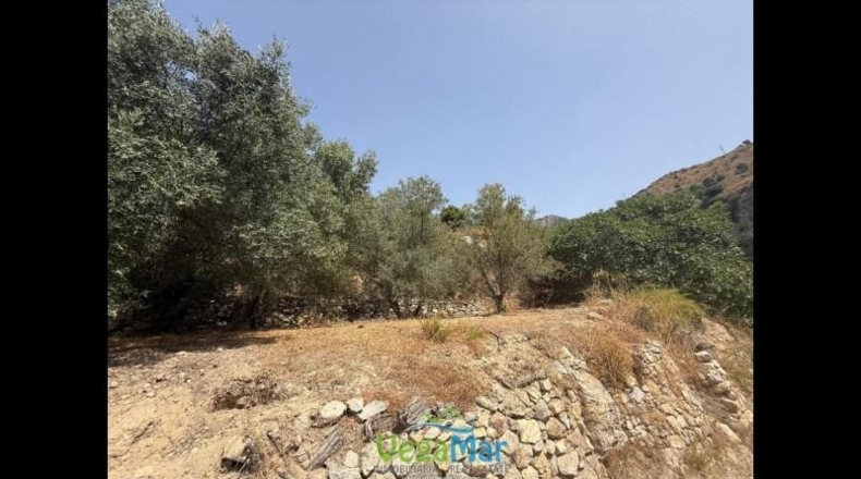 Granada - Almuñécar - 3100m2