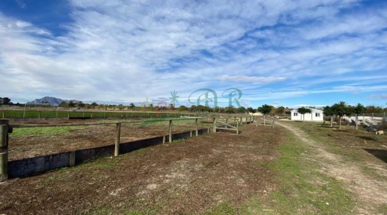 Alicante - Almoradí - 6000m2