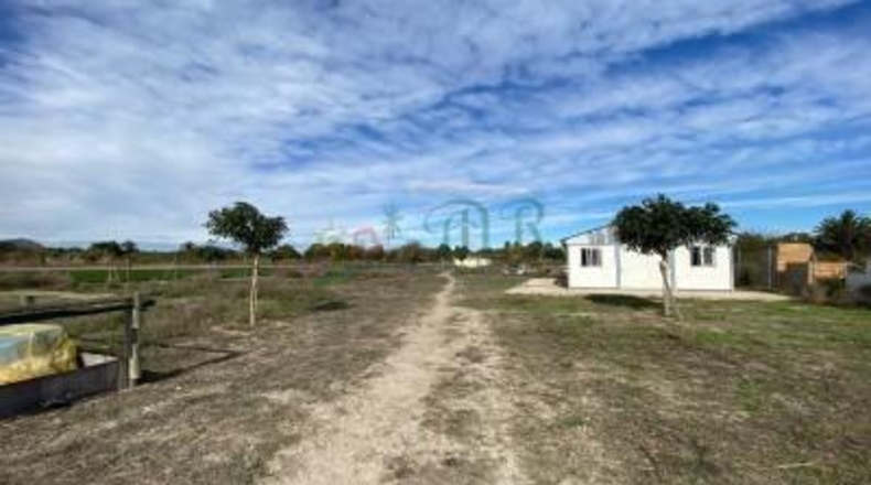 Alicante - Almoradí - 6000m2
