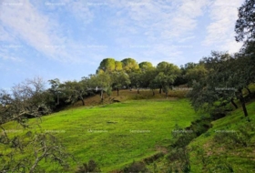 Alájar 50622&nbsp;m²
