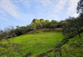 Земля на продажу у города Alájar Фото