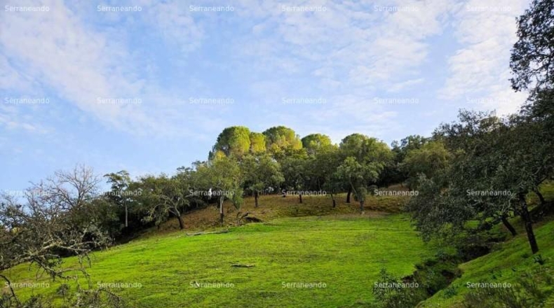 Huelva - Alájar - 50622m2