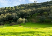 Земля на продажу у города Alájar Фото