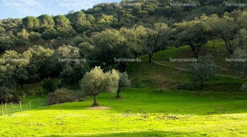Huelva - Alájar - 50622m2