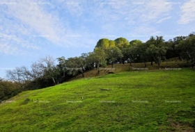 Alájar 50622&nbsp;m²