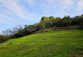 Земля на продажу у города Alájar Фото