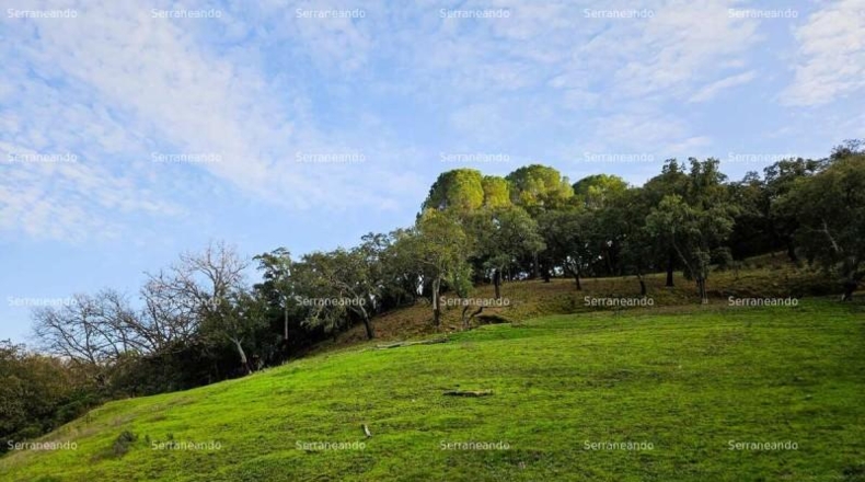 Huelva - Alájar - 50622m2