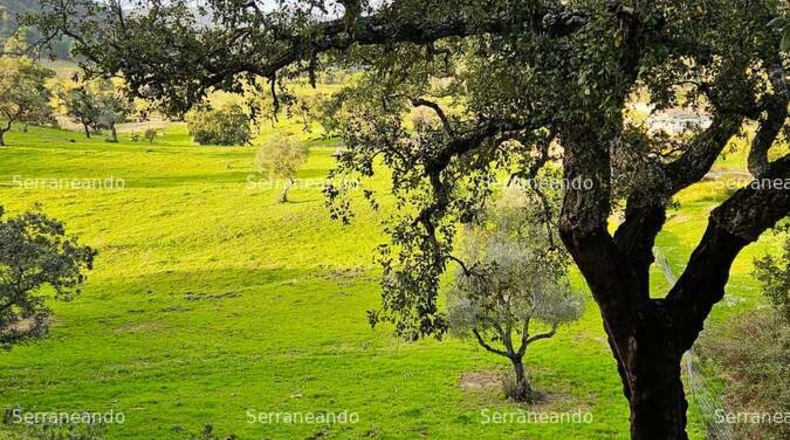 Huelva - Alájar - 50622m2
