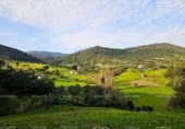 Земля на продажу у города Alájar Фото