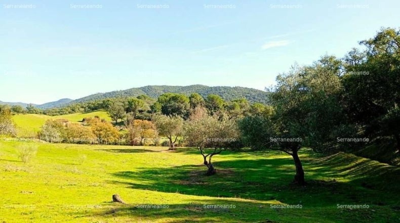 Huelva - Alájar - 50622m2