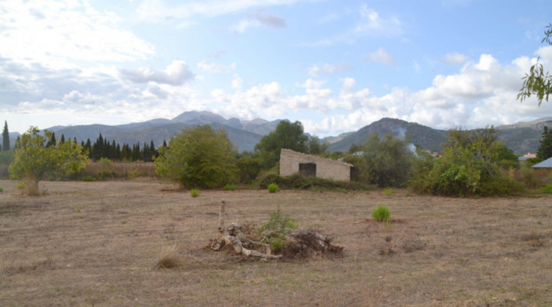 Islas Baleares - Campanet - 4316m2
