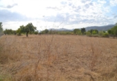 Chalet independiente con terreno en venta en la España, Campanet, ref: TR304196 foto