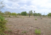 Chalet independiente con terreno en venta en la España, Campanet, ref: TR304196 foto