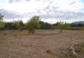 Chalet independiente con terreno en venta en la España, Campanet, ref: TR304196 foto