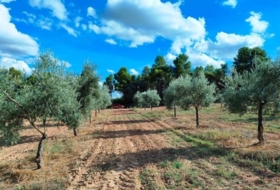 Cretas 166300&nbsp;m²