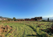 Land suitable for development for sale on España, O Porriño, ref: TR117031 photo