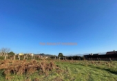 Land suitable for development for sale on España, O Porriño, ref: TR117031 photo