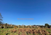 Land suitable for development for sale on España, O Porriño, ref: TR117031 photo