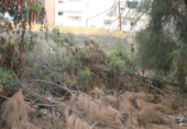 Parcela urbanizable en venta en la España, Balcón de Telde, ref: TR397139 foto