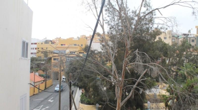 Zamora - Alcañices - 175m2