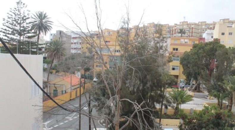Zamora - Alcañices - 175m2