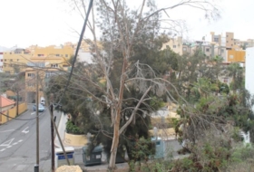 Balcón de Telde 175&nbsp;m²