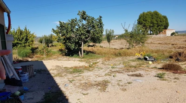 Albacete - Almansa - 11300m2