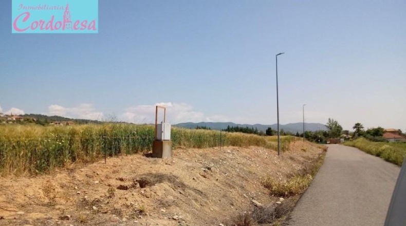 Córdoba - Córdoba - 15000m2