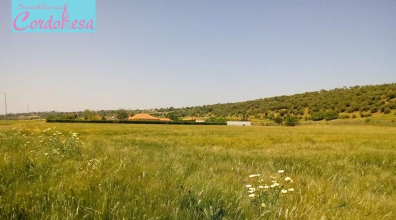 Córdoba - Córdoba - 15000m2