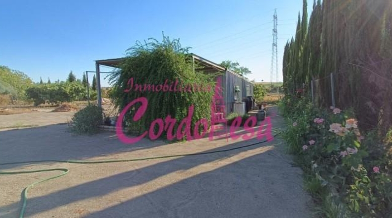 Córdoba - Córdoba - 2000m2