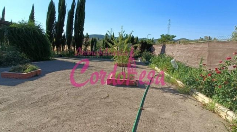 Córdoba - Córdoba - 2000m2