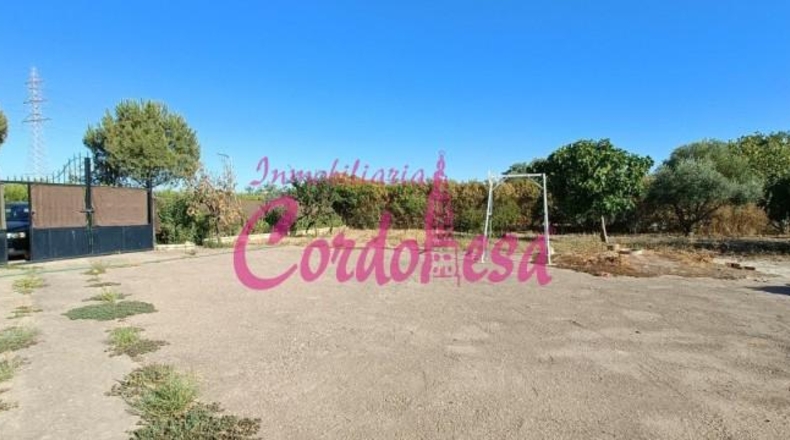 Córdoba - Córdoba - 2000m2